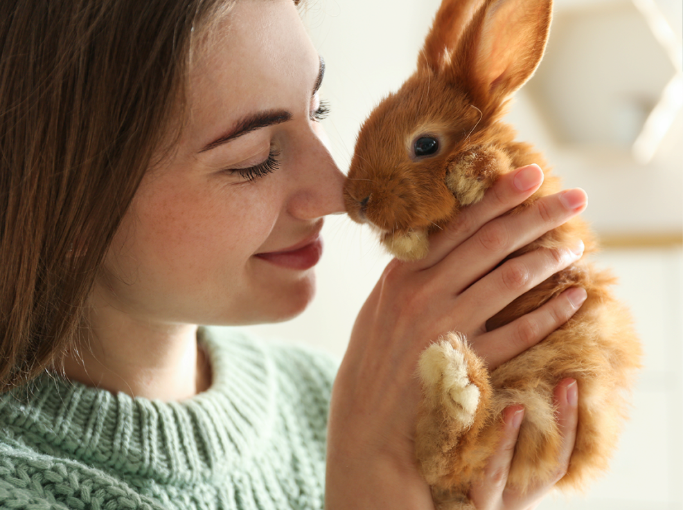 8 Common Mistakes Rabbit Owners Make and How to Avoid Them