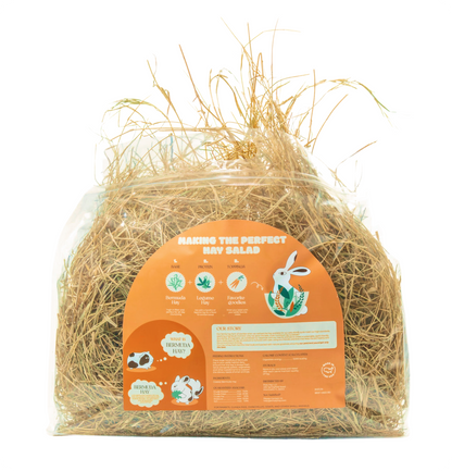 Bermuda Hay