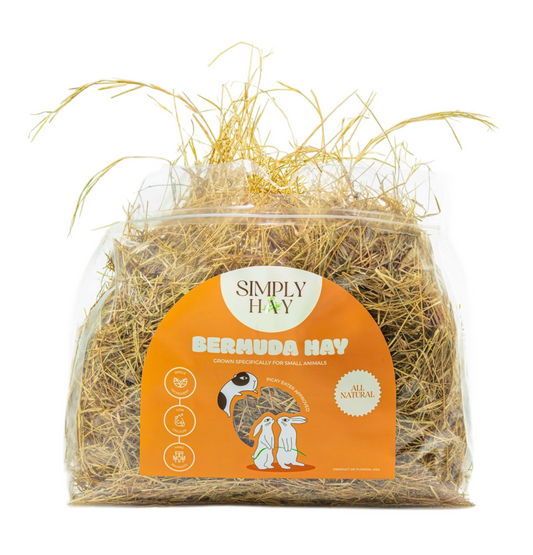Bermuda Hay