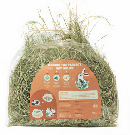 Bermuda Hay