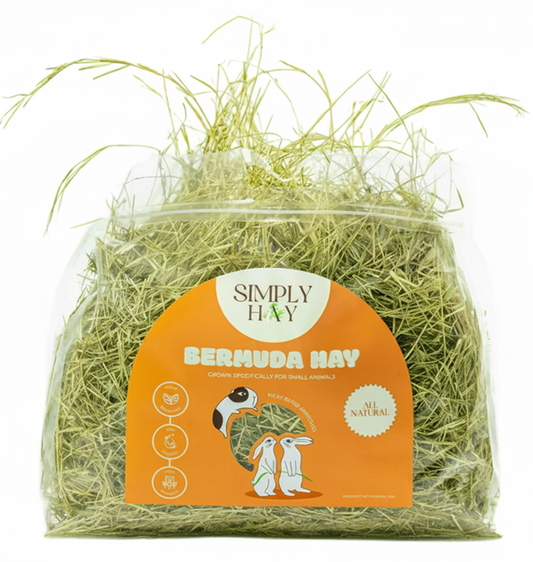 Bermuda Hay