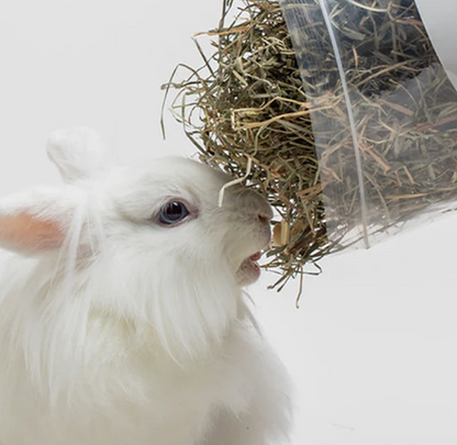Bermuda Hay